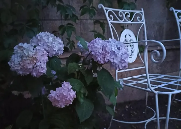 Apartmán Statevi Guest